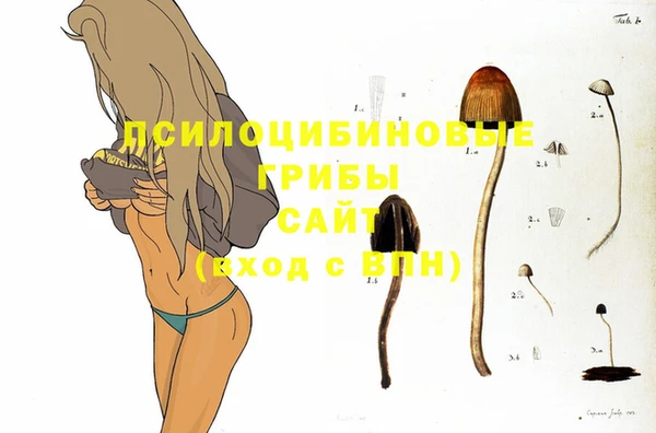 2c-b Армянск