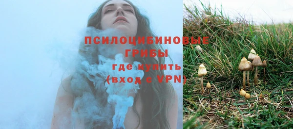 шишки Алзамай