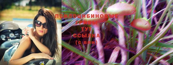 кокс Аркадак