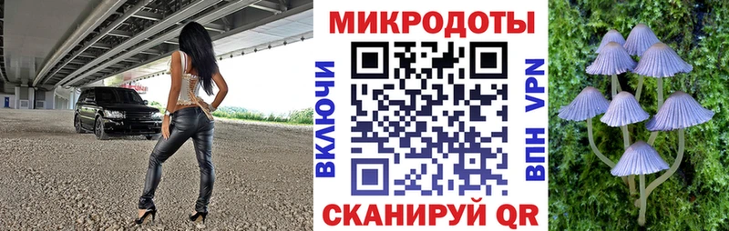Псилоцибиновые грибы мицелий  Коломна 