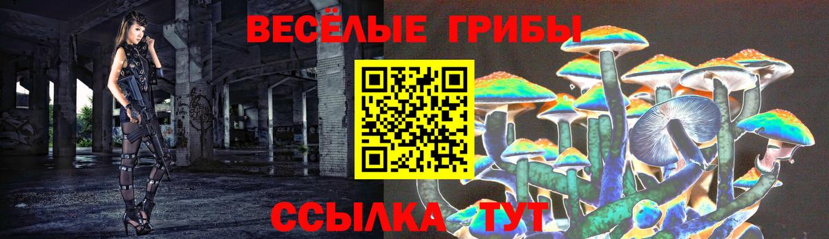 Псилоцибиновые грибы мухоморы  Вход с VPN  где можно купить   Галлюциногенные грибы прущие грибы  Коломна 